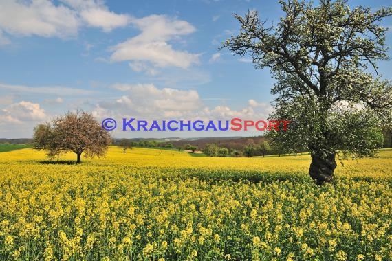 Bildarchiv - Kraichgau (© Siegfried)